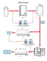 Milk Production Process
