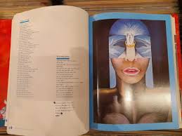 The Beatles Illustrated Lyrics