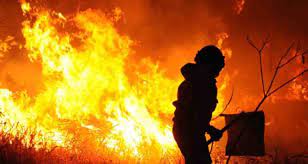 Jun 29, 2021 · mais de meia centena de bombeiros estão a combater um incêndio que deflagrou ao início da tarde numa fábrica de caixas de madeira e mobiliário em arouca, no distrito de aveiro, informou fonte. Xik 0uln8dl6bm