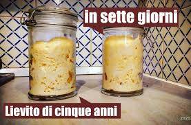 Il modo più semplice per conservare il nostro lievito madre è di tenerlo libero in un barattolo o ciotola di vetro. Lievito Madre Come Rinfrescarlo E Gestirlo Quando E Pronto