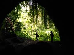 Komunitas ini juga sekaligus sebagai pengelola hutan kemasyarakatan yang terdapat di kawasan kalibiru. Tahura Nuraksa Destinasi Wisata Alam Baru Di Pulau Lombok Dislhk Ntb