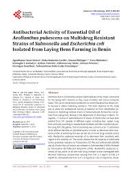 Image result for Aeollanthus pubescens