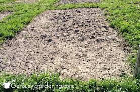 A spade or shovel may be the best to use for a very new and firm bed. How To Prepare A Garden Bed For Planting Vegetables Get Busy Gardening