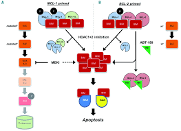 Image result for BCL2 Inhibitor