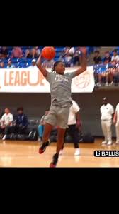 Rob Dillingham Basketball Highlights: NBA vs WNBA Matchup