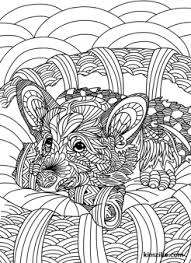 Pin On Coloring Pages For Adults