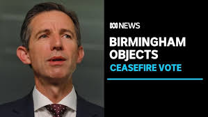 Simon Birmingham lashes out over government's yes vote