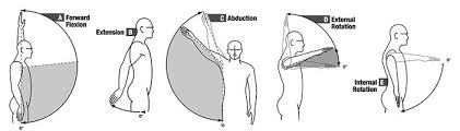 Image result for Shoulder Range of Motion Exercises