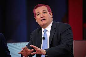 Opponents ridiculed cruz's comments as out of touch, pointing to ready availability of hair dye and. 5 Reasons Senator Ted Cruz Should Reconsider His Stance On Tofu And Hair Dye