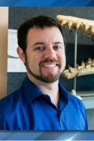 Former CofC researcher accused of taking fossils from school museum without  permission