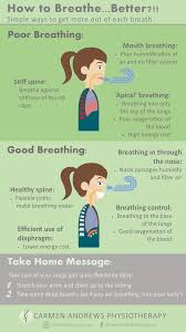 How To Breathe Better I Know That When You Read The Title Of This Blog You Thought Is There Nothing We Do Correct Physiotherapy Breathe Fight Or Flight