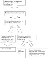 Diagnosis And Treatment Of Tuberculosis Of The Foot And