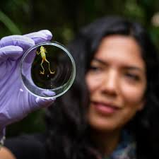 The Mohamed bin Zayed Species Conservation Fund