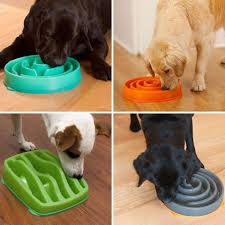 Slo Bowl Eating Too Fast Is A Bad Habit Not Only For Human But Pets The Difference Is That Pets Cannot Control The Eating Speed Now You Ca Dog Bowls Pets Dogs