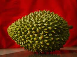 Pembajaan telah dibuat tapl hujan turun pula. 9 Jenis Durian Di Malaysia Tip Tip Untuk Memilih Durian Yang Terbaik