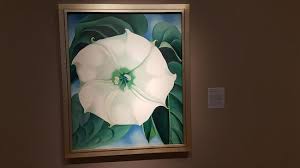Check spelling or type a new query. Jimson Weed White Flower No 1 By Georgia O Keeffe Picture Of New Britain Museum Of American Art Tripadvisor