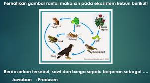 Check spelling or type a new query. Aturan Aturan Dalam Penyusunan Soal Isian Dan Jawaban Singkat Info Dunia Edukasi