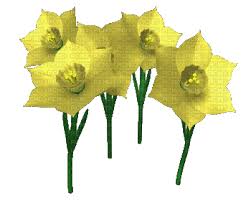 Photo, sketch and paint effects. Animated Yellow Daffodils Daffodils Daffodil Yellow Glitter Spring Flowers Flower Animated Gif Easter Picmix