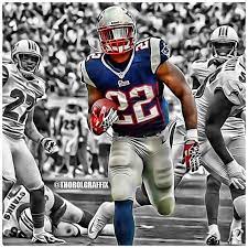 Stevan Ridley 22 Rb New England Patriots New England Patriots Fantasy Football Patriots Fans