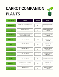 21 Carrot Companion Plants [Deter Pests, Improve Soil, Maximize Space] —  Vegtotable