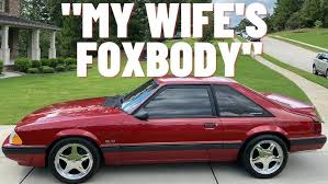 Image result for Wild Strawberry 1992 Tempo