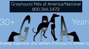 A total of 43 greyhounds to admire month after month for for two years. Greyhound Pets Of America National Home Facebook