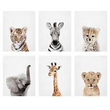 Choose Any 6 Baby Animals Safari Animal Woodland Animal Etsy Safari Baby Animals Animal Nursery Animal Nursery Art