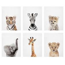 Compare prices on popular products in home decor. Personalized Baby Animal Prints Choose Any 6 Safari Animal Etsy Baby Animal Art Baby Animal Prints Safari Baby Animals