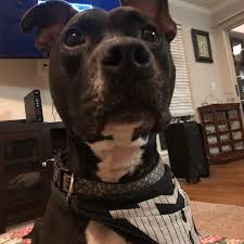 Daniel Scarr (@djscarr84) • Instagram photos and videos