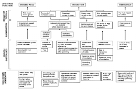 Flow Chart Showing Gravel Requirements Of Salmonids During