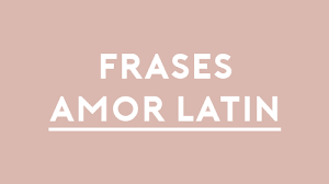 We did not find results for: Frases De Amor En Latin Frases Traducidas Y Con Significado