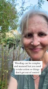 Weeding is not much fun but it can be satisfying. It’s also necessary to  prevent thugs from getting out of control. To clarify, tree of heaven is  extremely invasive and spreads easily and they grow ...