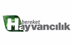 Show tv canlı yayın kanal bilgisi. Show Tv Hd Canli Yayin Izle Canli Tv Izle