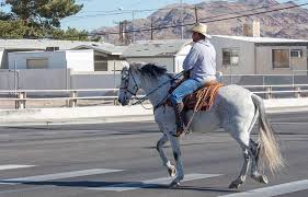 Horse Man Rural Street Cnn International Horses