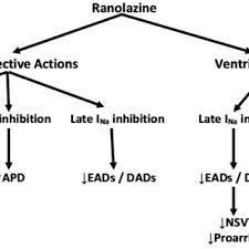 A Flow Chart Indicating The Mechanisms Of Antiarrhythmic