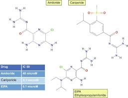 Image result for Amiloride