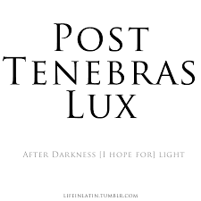 Examples of translating «light» in context Latin Quotes About Courage Latin Phrases Latin Language Quotes And Phrases Dogtrainingobedienceschool Com