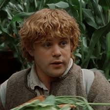 Samwise Gamgee • Sam