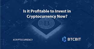 Huge transactions between banks and investment firms that typically would take several days, a number of intermediaries, and cost a good deal of money, can now be done nearly instantaneously with. Is It Profitable To Invest In Cryptocurrency Now Btcbit Net