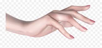 Dreamstime is the world`s largest stock photography community. Girl Hand Png Image Background Arts Woman Hand Png Free Transparent Png Images Pngaaa Com