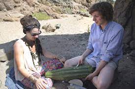 Hollywood's supergeek trips out in psychedelic road movie crystal fairy & the magical cactus. In Crystal Fairy Young U S Tourists Aim For The Mystical The New York Times