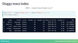 Obviously the new column will have have the same number of elements. Tutorial Pandas Add Column Datacamp
