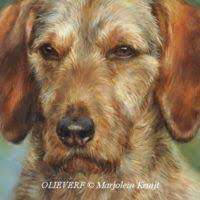 Technieken En Close Ups Dierportretten In Opdracht Huisdier Portretten Honden Schilderijen Honden Portretten