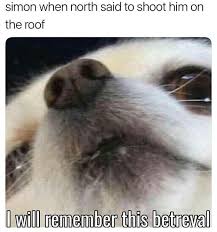 Pin By Kotova Lena On Detroit Become Human Funny Animal Memes Animal Memes Funny Animals