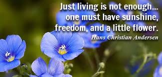 Flowers to brighten your day quotes. 20 Quotes About Flowers Understand Beauty Everywhere Enkiquotes