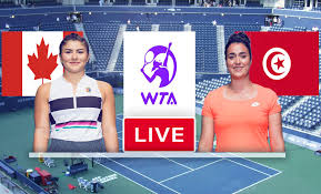 Jabeur, who is playing in the main singles draw at roland garros for the first. V 8jtk9w8v Ipm
