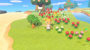 We did not find results for: Hybrid Flowers In Animal Crossing New Horizons Crossbreeding Flowers