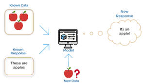 By afshine amidi and shervine amidi. What Are The Types Of Machine Learning By Hunter Heidenreich Towards Data Science