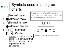 Pedigree Charts Karyotypes Unit 6 Part 4 Notes Ppt