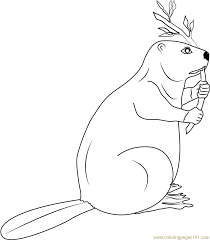 These free bear coloring pages will introduce your kids to bears, their offspring as well as other aspects concerning them we would also like to know if your kids enjoyed coloring these bear coloring sheets. Canadian Beaver Coloring Page For Kids Free Beaver Printable Coloring Pages Online For Kids Coloringpages101 Com Coloring Pages For Kids